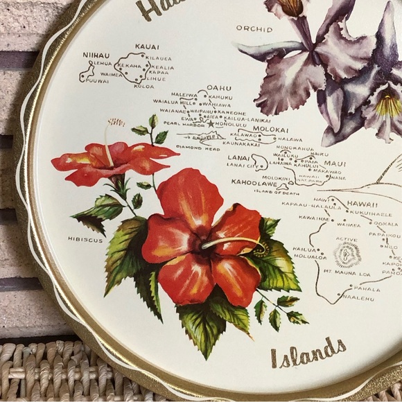 70's Hawaiian Islands Tin Drinks Tray - Hawaii Souvenir - BBQ - Outdoor Tray - Picture 4 of 10